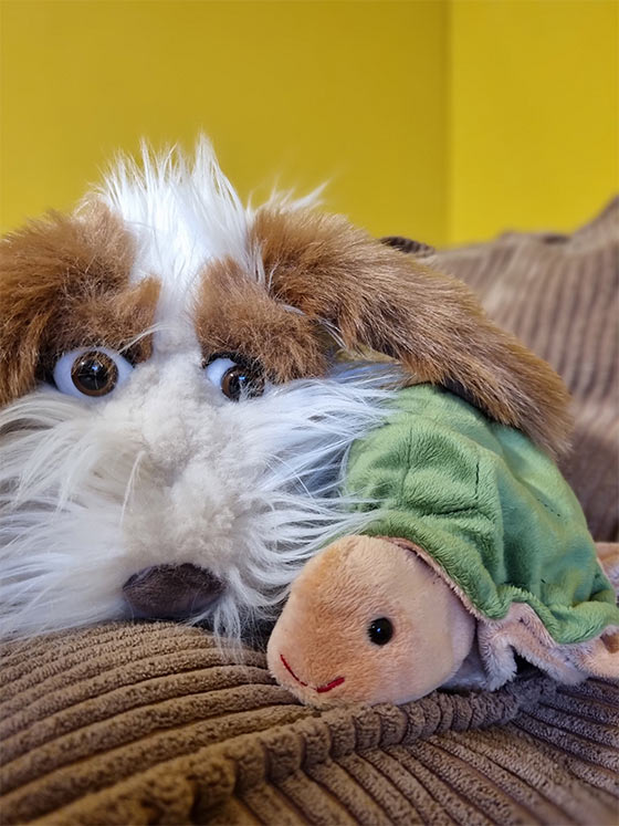 Lorem ipsum dolor sit amet